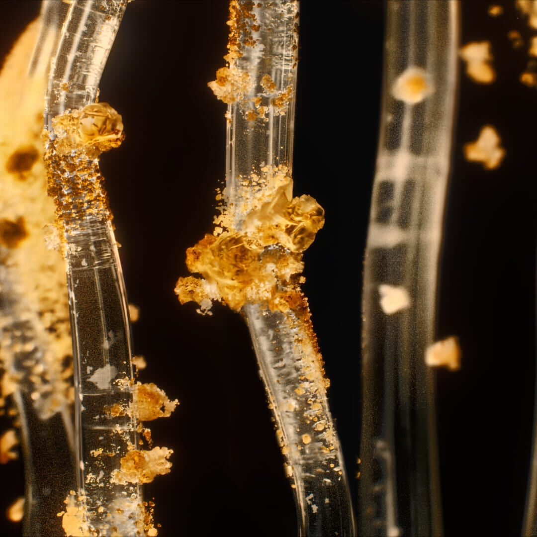 Vue microscopique des fibres de collagene decaramelisees pour lelasticite et la jeunesse de la peau.