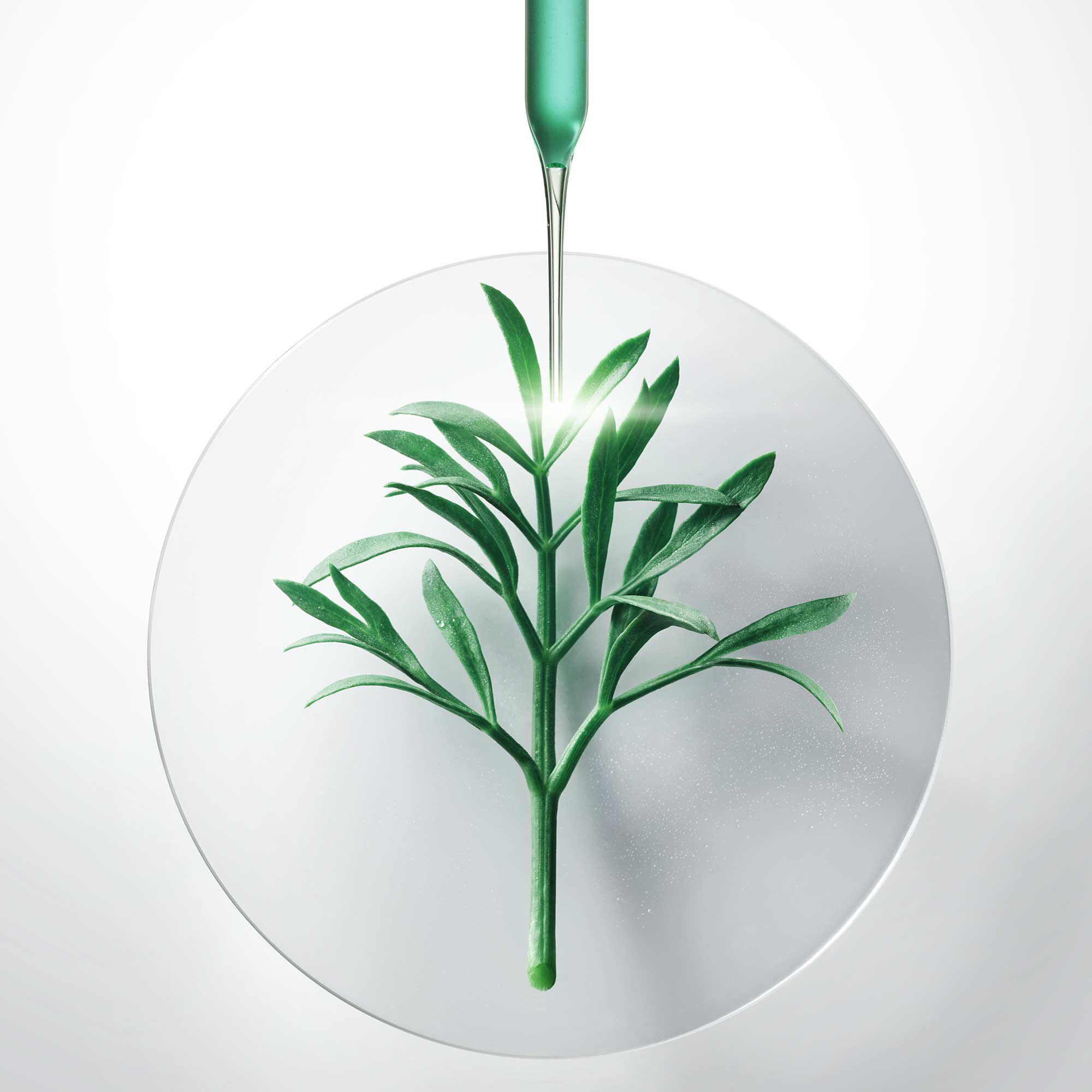 Duo Voyage Replasty Nuit - Powercell Essence