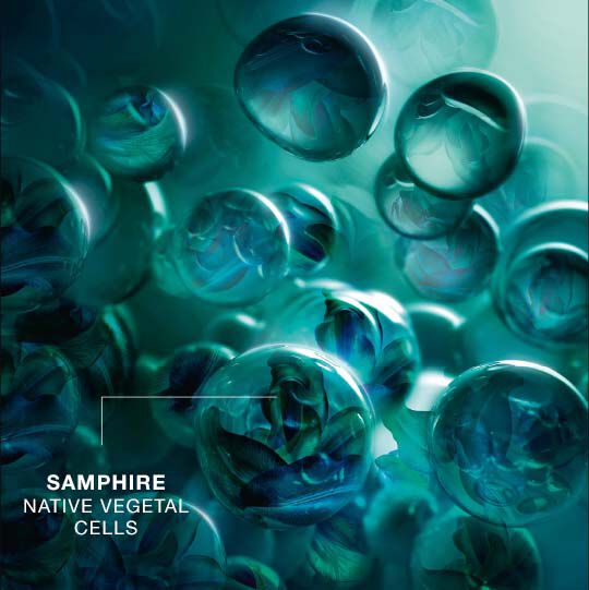 Powercell Night Reload Cream